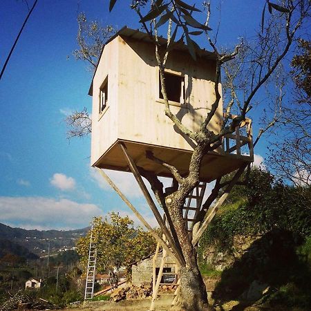 Casa Da Mouta - Douro Valley ไบเยา ภายนอก รูปภาพ