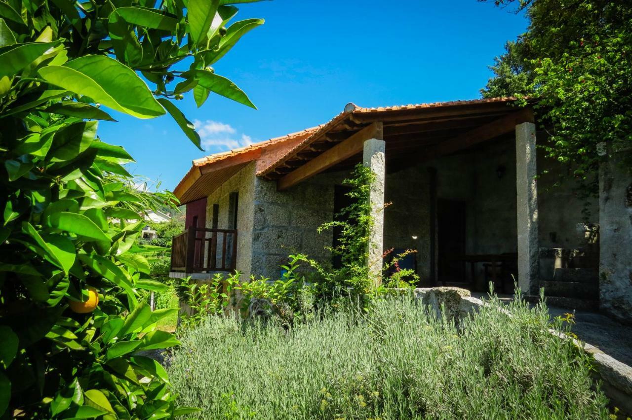 Casa Da Mouta - Douro Valley ไบเยา ภายนอก รูปภาพ