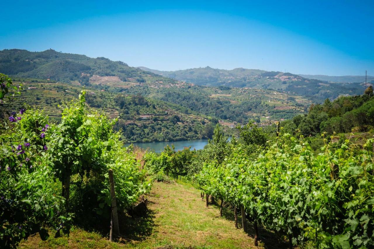 Casa Da Mouta - Douro Valley ไบเยา ภายนอก รูปภาพ