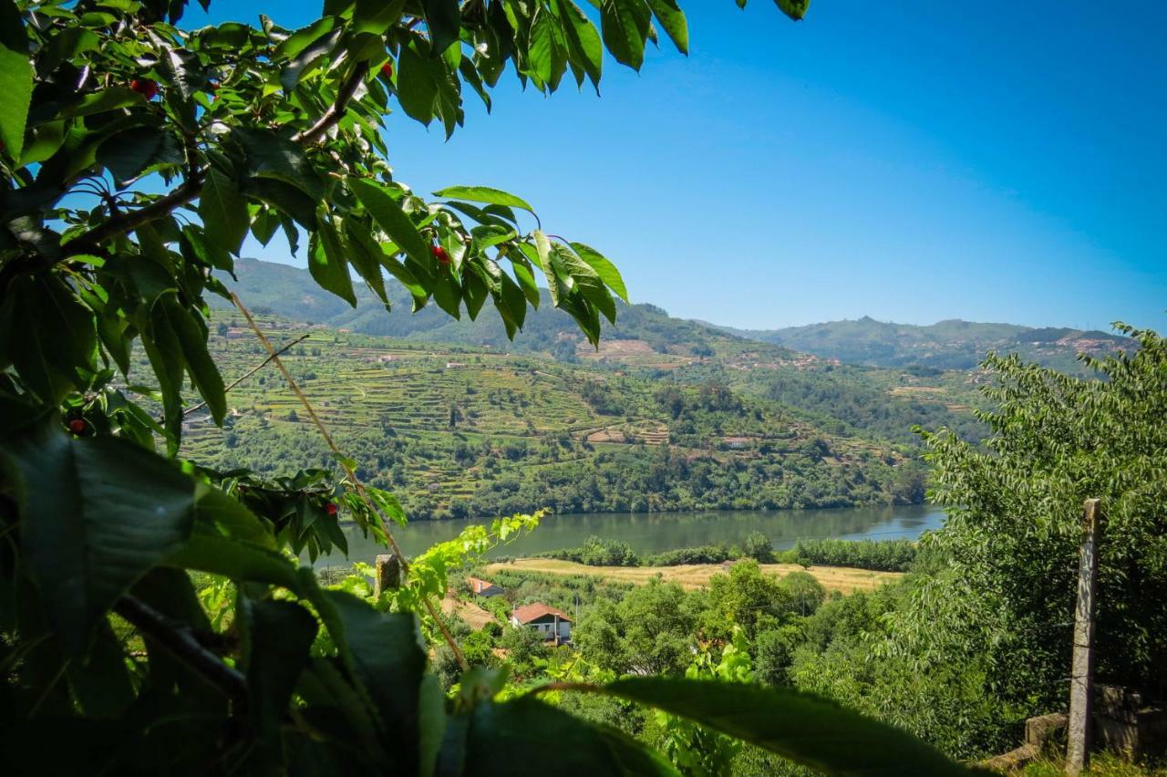 Casa Da Mouta - Douro Valley ไบเยา ภายนอก รูปภาพ